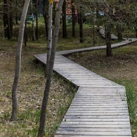 Greenroom Kunigiskes Lägenhet *