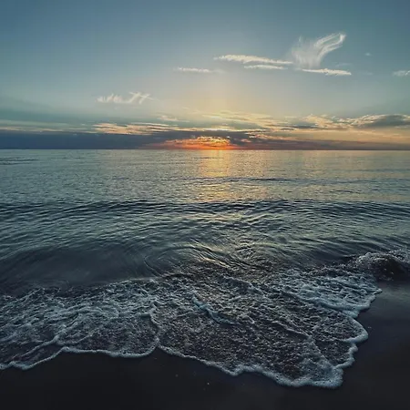 Greenroom Kunigiskes *