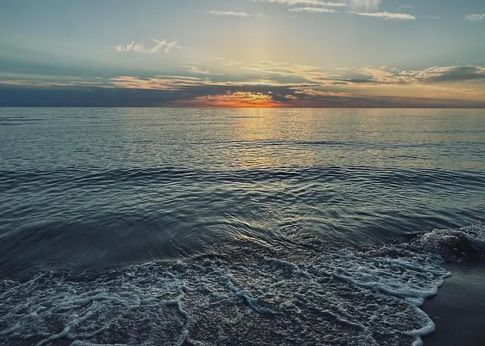 Greenroom Kunigiskes *